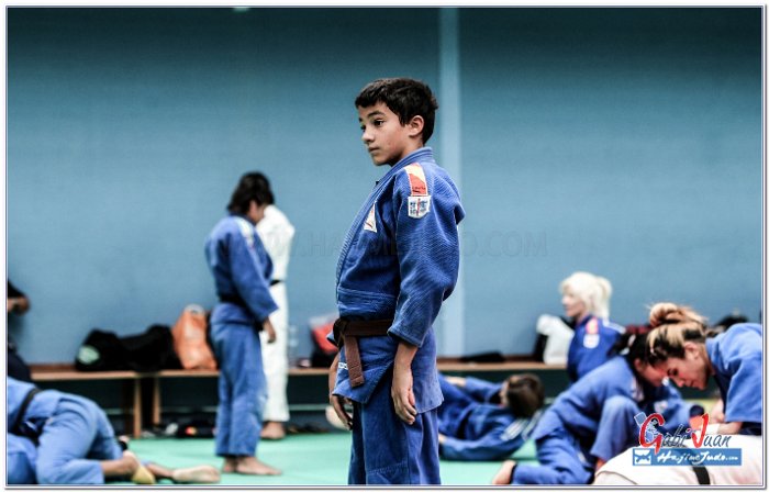 STAGE JUDO MADRID 14 00040